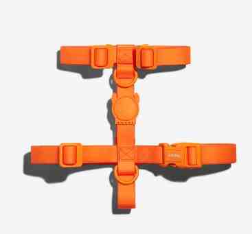 PRETAL H NEO PRO TANGERINE L 